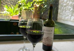 two glasses of red wine next to a bottle of wine at Alto Paraiso in Teresópolis