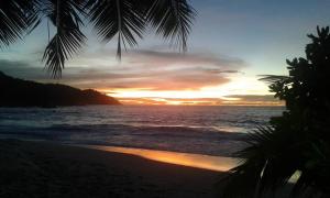 a sunset on the beach with a palm tree at Chalets Anse Possession in Baie Sainte Anne