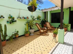 a patio with a bunch of potted plants at Casa Hotel La Unión in Santa Cruz de Mompox