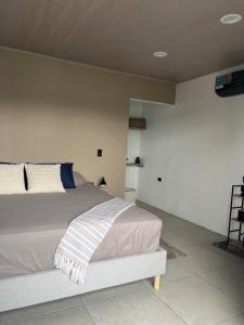 a bedroom with a bed in a room at Altima Arenal Volcano View in Tanque