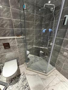 a bathroom with a shower with a toilet at New Alamen Towers in El Alamein