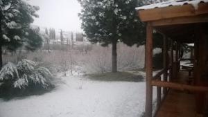 a snow covered yard with a tree and a cabin at Cabañas El Puente Azul in Aluminé