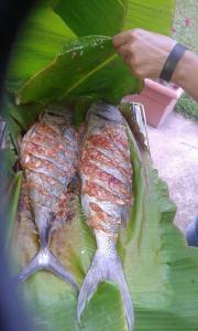 two pieces of fish sitting on top of a green leaf at Chalets Anse Possession in Baie Sainte Anne