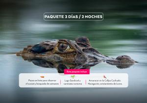 a picture of a turtle swimming in the water at IKAM Riverview Amazon Lodge - Asociado Casa Andina in Puerto Maldonado