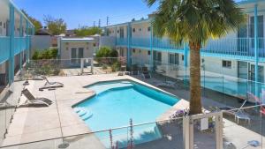 a swimming pool with a palm tree next to a building at DTPH Cozy Corner - Pool & Parking in Phoenix +15 photos