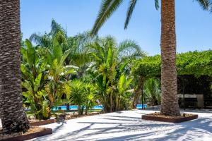 a resort with palm trees and a swimming pool at Emesh Boutique Suite in Agrigento +82 photos