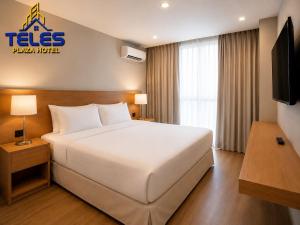 a hotel room with a white bed and a television at Teles Plaza Hotel in Macacos