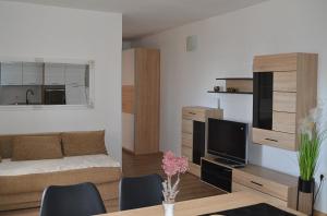 a living room with a couch and a tv at Apartments and rooms by the sea Nevidjane, Pasman - 11902 in Neviđane