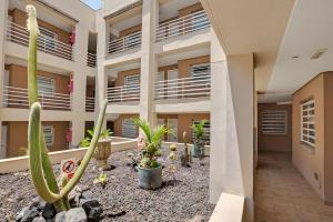 an apartment building with cacti in the courtyard at Los Cristianos plaza property in Los Cristianos