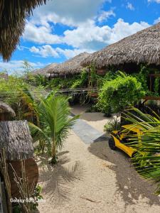 a resort with a palm tree and a building with aiki at Vila Ascensão in Tatajuba