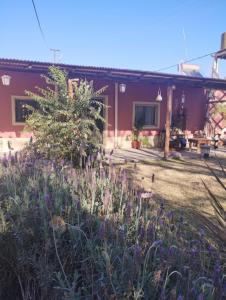a garden in front of a house with purple flowers at Casa quinta Los Teros in Sánchez de Loria