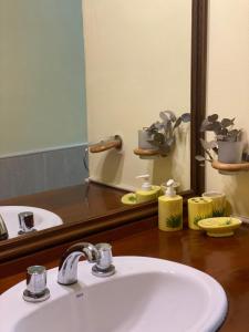 a bathroom with a white sink and a mirror at Huellas de Berna in Villa Berna