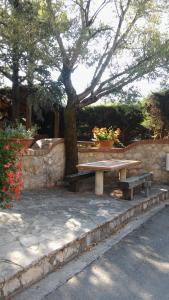 A garden outside Parco Sogni d'Oro