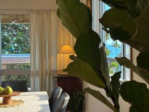 a dining room with a table and a large green plant at The Balcony at Airlie in Airlie Beach +58 photos