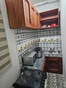 a small kitchen with a stove and a sink at A nice one bedroom apartment in Mills Center