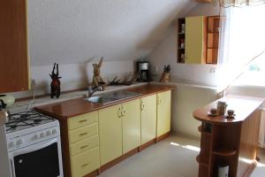 A kitchen or kitchenette at Ubytovanie Hugo Alžbetka
