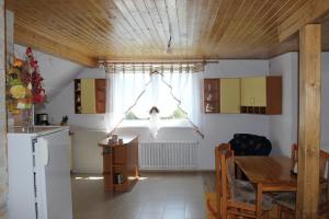 A kitchen or kitchenette at Ubytovanie Hugo Alžbetka