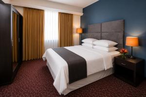 a hotel room with a large bed and a window at KC Hotel San Jose in San José