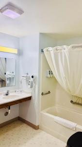 a bathroom with a tub and a sink and a bath tub at Four Seasons Inn in Bottineau +16 photos
