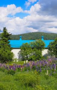a garden with purple flowers in front of a building at Furano Retreat in Furano