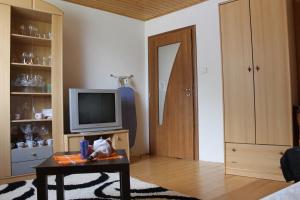 A television and/or entertainment centre at Ubytovanie Hugo Alžbetka