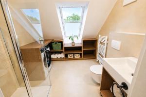 a bathroom with a shower toilet and a sink at Dovce Apartments in Rakek +21 photos
