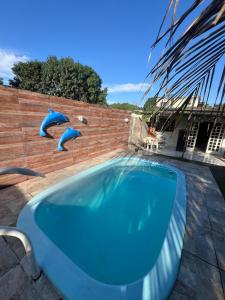 a swimming pool with two dolphins on a brick wall at Casa com piscina in Belfort Roxo