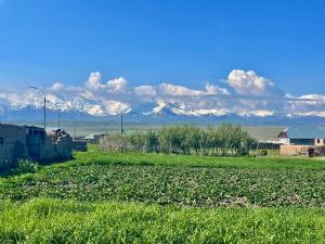 a field of grass with mountains in the background at Ali guest house in Sary-Mogul