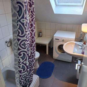 a bathroom with a washing machine and a sink at Mammut Cottage in Balve +21 photos