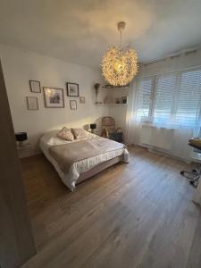 a bedroom with a bed and a chandelier at L'Escapade Sélestadienne in Sélestat +2 photos