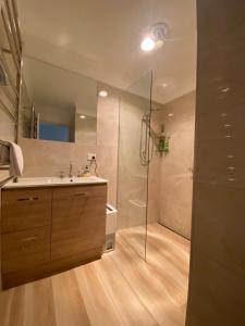 a bathroom with a shower and a sink and a toilet at Alana Apartment 2 in Falls Creek