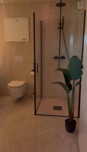 a bathroom with a shower and a toilet and a plant at Villa Nyheim in Florø