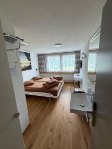 a bedroom with a bed and a desk in it at Catrina Lodge in Disentis