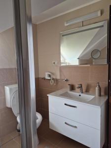 a bathroom with a sink and a toilet and a mirror at Casa Deea in Căpăţîneni-Pămînteni +17 photos