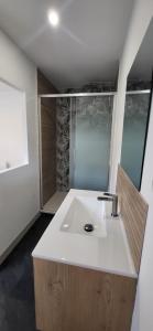 a bathroom with a sink and a shower at Le Cocon des Sables in Sangatte +23 photos
