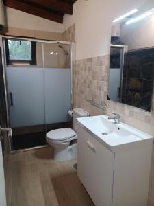 a bathroom with a toilet and a sink and a shower at La Campestre in La Guancha +27 photos