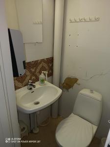 a bathroom with a white toilet and a sink at Tattara School Room 2 in Nakkila +3 photos