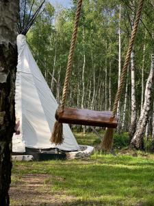 a hammock and a tent in the woods at Bonair Tipi Village I Glamping in Călăţele