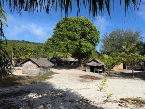 a group of small buildings and a tree at Twin Beach Bungalows in Loh