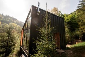 a tree is growing in front of a black house at Asket Villas in Krivorovnya