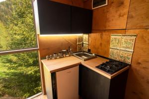 a kitchen with a stove and a sink and a window at Asket Villas in Krivorovnya