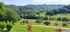 a view of a field with trees and a road at Apartmaji Božiček Olimje in Podčetrtek