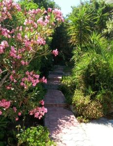 a garden path with pink flowers and plants at Irini Studios in Plomari