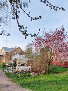 a house with a flowering tree in the yard at Guesthouse Lokinlaulu in Kotka
