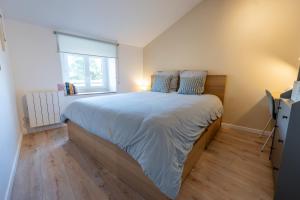 a bedroom with a large bed and a window at Appartement central - L'est in Tarare