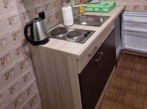 a small kitchen with a stove and a sink at Apartments Blink in Orebić