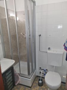 a bathroom with a shower and a toilet and a sink at Ferienpark N3 -3 in Heiligenhafen +16 photos