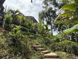a set of stairs leading up a hill with trees at Senu Ceylon Ella in Ella