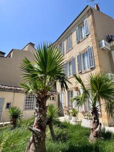 two palm trees in front of a building at Les Chambres Salonaises in Salon-de-Provence