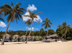 a row of palm trees on a sandy beach at Last Hammock Beach Resort in Baan Khai +30 photos
